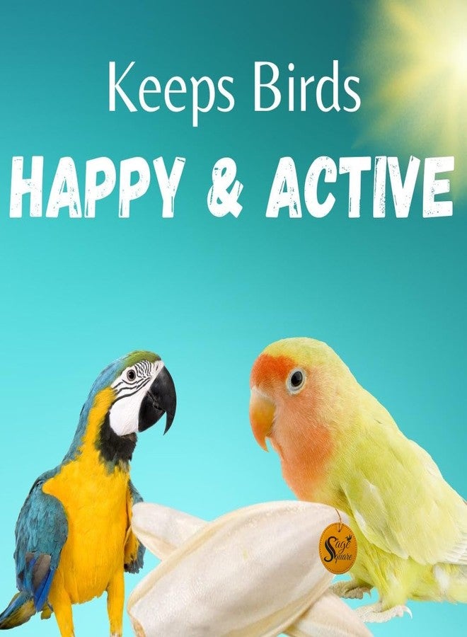 سايج سكوير عظم حبار مربع من سيج - 100 غرام من عظام الحبار الممتازة للطيور والزواحف | غني بالكالسيوم | مكمل غذائي أساسي لجميع مراحل الحياة | مكمل معدني أساسي للطيور - Image 4